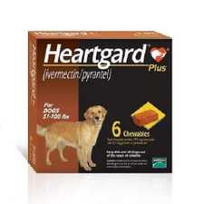 heartworm-preventative